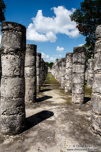Row of columns (columnata) at the Chichen Itza archeological site