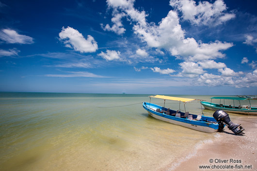 Celestun beach