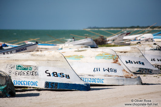 Boats at Celestun beach