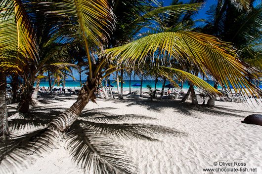 Resort near Tulum