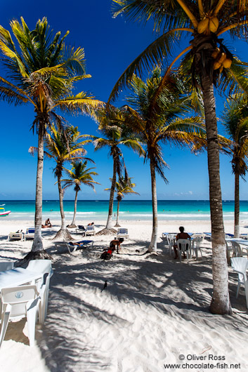 Resort near Tulum