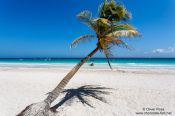 Travel photography:Tulum beach, Mexico