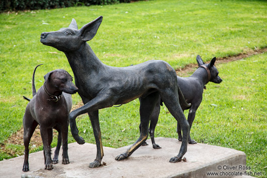 Xoloitzcuitle dogs pose next to their statue at the  Museo Dolores Olmedo in Mexico City