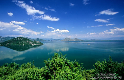 View of Skadarsko jezero (Scutari lake) with isolated monastery