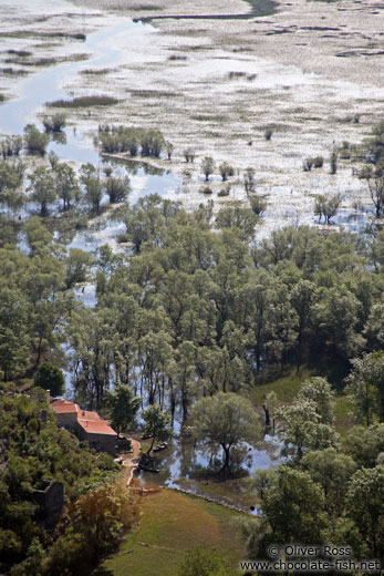 Skadarsko jezero (Scutari lake) wetland