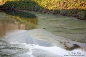 Travel photography:Fishing boat on Skadarsko jezero (Scutari lake), Montenegro