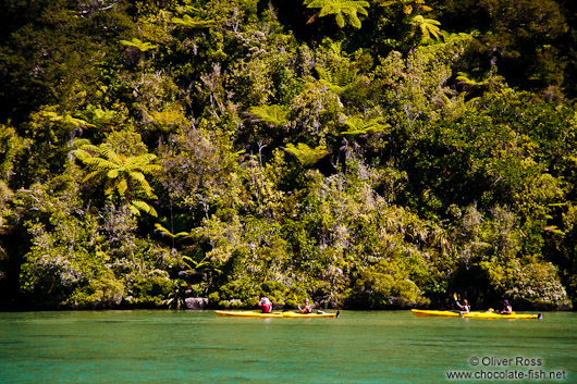 Kayakers in the Abel Tasman National Park