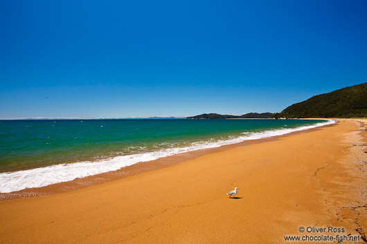 Golden beach in Abel Tasman National Park