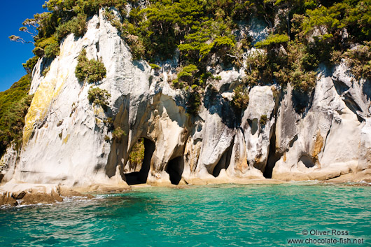 Rocks in Abel Tasman National Park