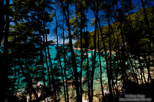 Turquoise waters in Abel Tasman National Park
