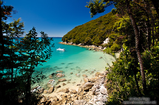 Small bay in Abel Tasman National Park