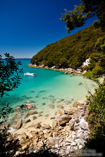 Small bay in Abel Tasman National Park