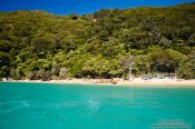 Travel photography:Beach in Abel Tasman National Park, New Zealand