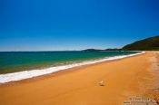 Travel photography:Golden beach in Abel Tasman National Park, New Zealand