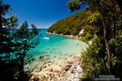 Travel photography:Small bay in Abel Tasman National Park, New Zealand