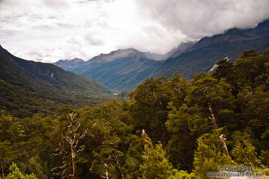 Fiordland National Park