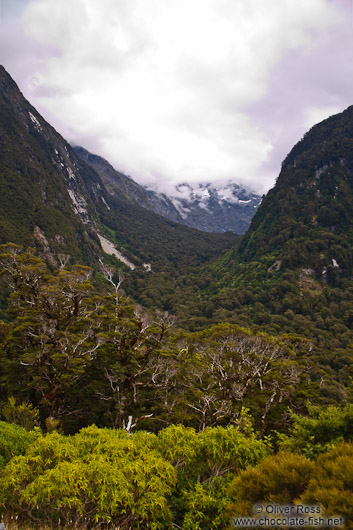 Fiordland National Park