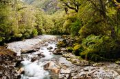 Travel photography:River in Fiordland National Park, New Zealand