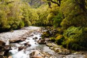 Travel photography:River in Fiordland National Park, New Zealand