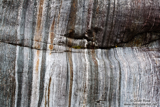 Sanding marks left by the Franz Josef Glacier on rocks in the river bed