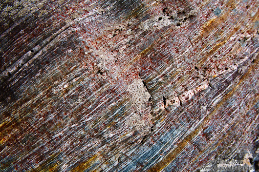 Sanding marks left by the Franz Josef Glacier on rocks in the river bed