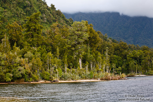 Lake Kaniere near Hokitika 