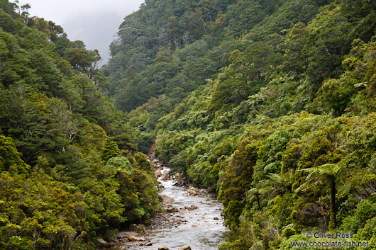 Paparoa National Park near Punakaiki