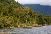 Travel photography:Lake Kaniere near Hokitika , New Zealand