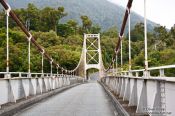 Travel photography:Bridge in Westland National Park, New Zealand