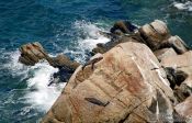 Travel photography:Seals in Abel Tasman National Park, New Zealand