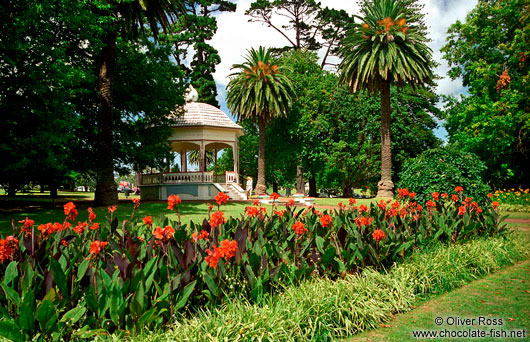 The Auckland Domain