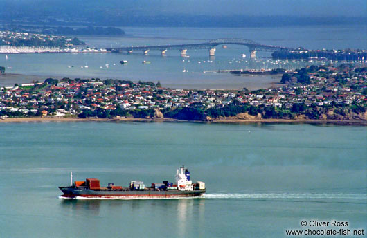 View of Auckland City and the Harbour Bridge