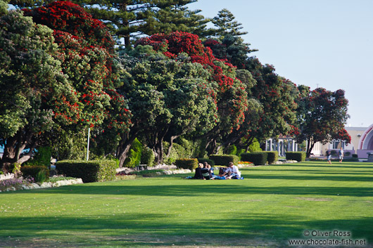 Napier park