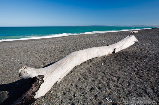 Napier beach