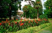 Travel photography:The Auckland Domain, New Zealand