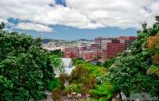 Travel photography:Wellington University, New Zealand