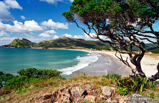 Beach on Great Barrier Island