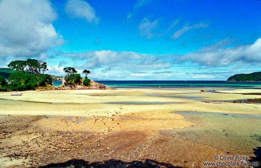 Beach on Great Barrier Island