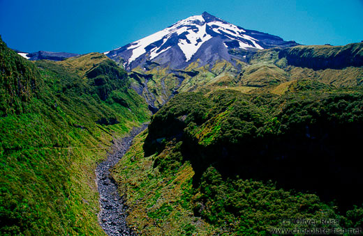 View of Mt Taranaki with gorge