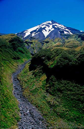 View of Mt Taranaki with gorge