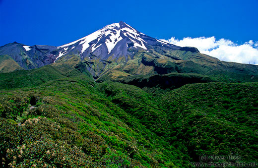 Mt Taranaki from the round-the-mountain-track