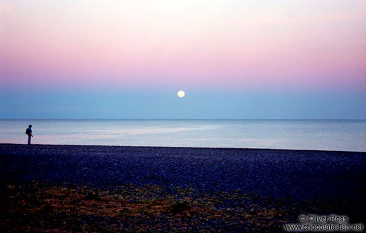 Moon over Napier Beach