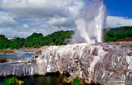 Geyser near Waitangi in Northland