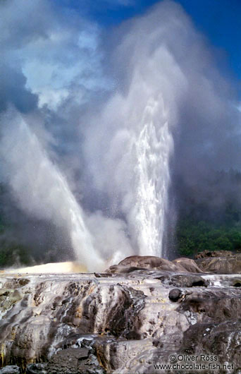 Geyser near Waitangi in Northland