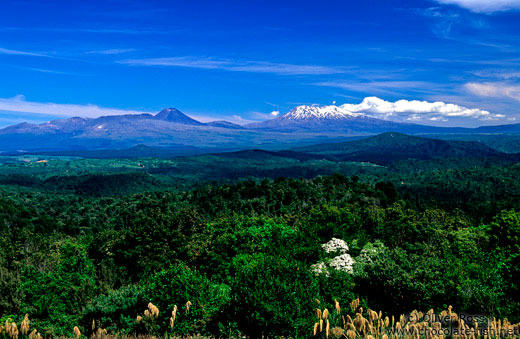 Distant view of the Central Plateau with Tongariro Ntl Park