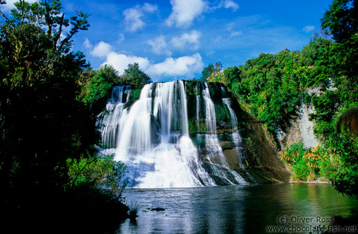 Aniwaniwa waterfall in Te Urewera Ntl Park