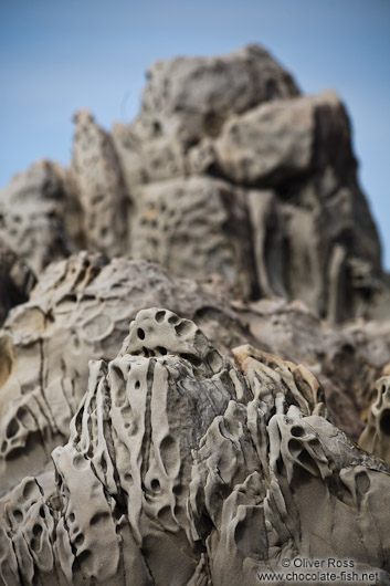 Sculpted rock near Honeycomb Rock on the Wairarapa coast