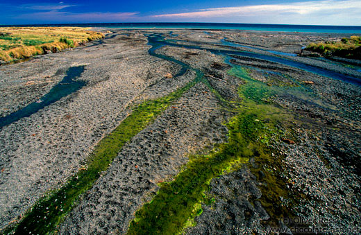 Stream entering the sea in Palliser Bay