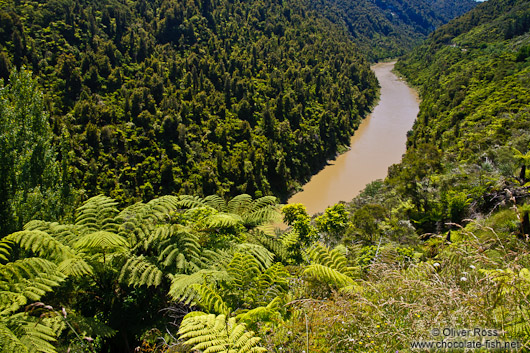 Whanganui river