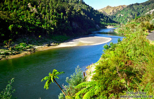 Whanganui River